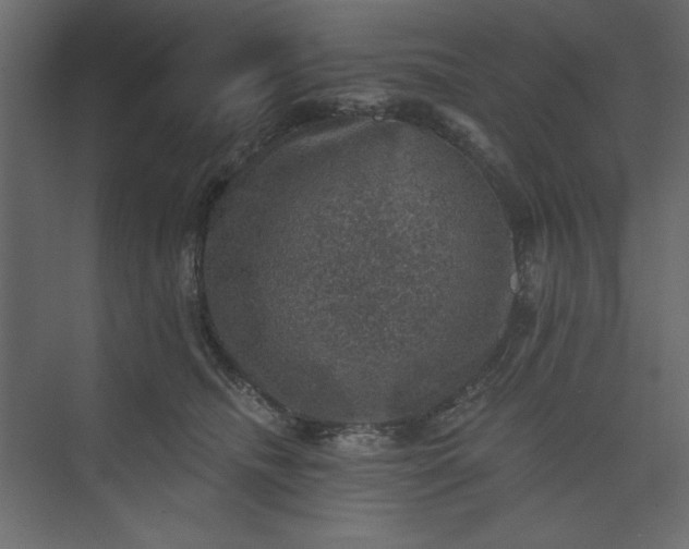 X0000073890468200608251436