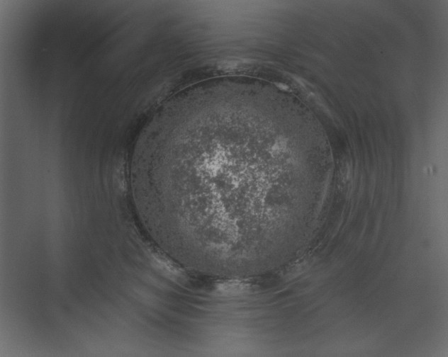 X0000073890470200608251436