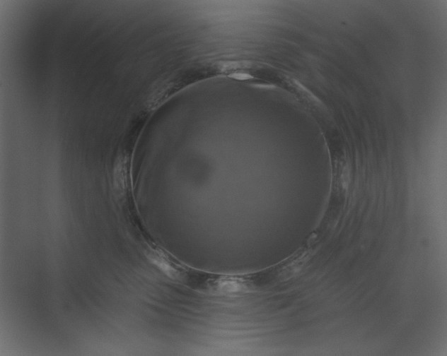 X0000073890475200608251436