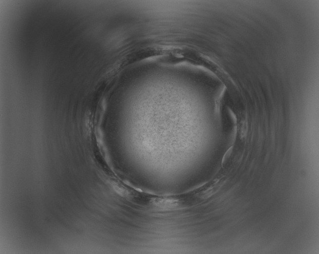 X0000073890476200608251436