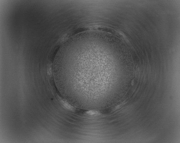 X0000073890477200608251436