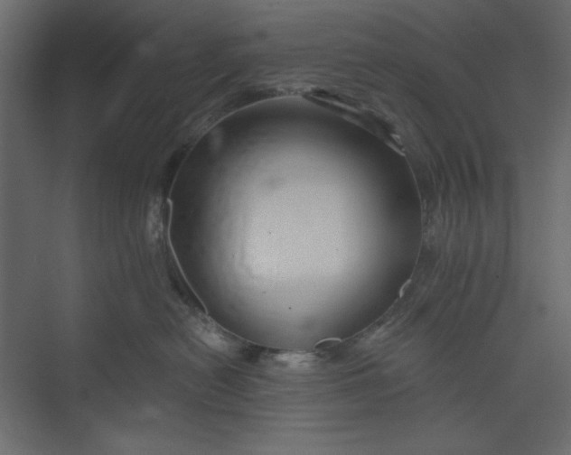 X0000073890478200608251436