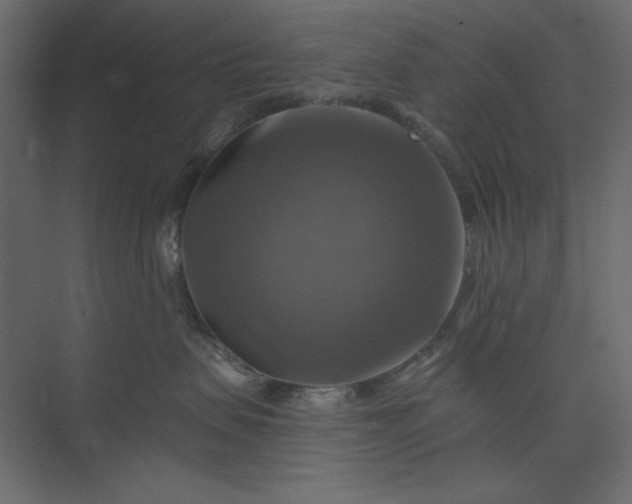 X0000073890479200608251436