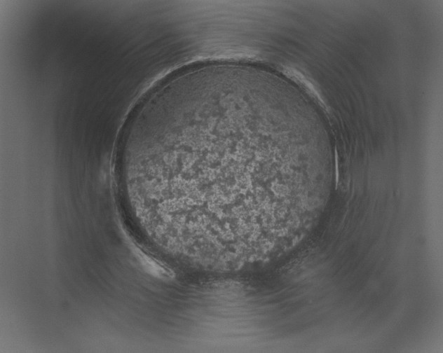 X0000073890483200608251435