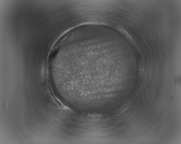 X0000073890484200608251435