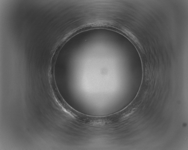 X0000073890485200608251435