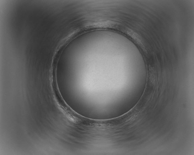 X0000073890486200608251435