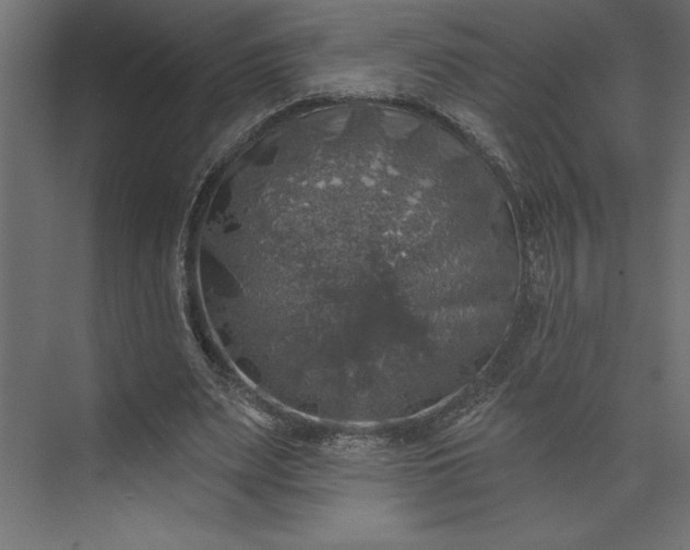 X0000073890487200608251435