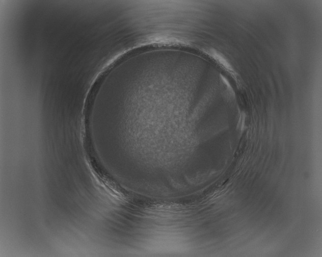 X0000073890488200608251435