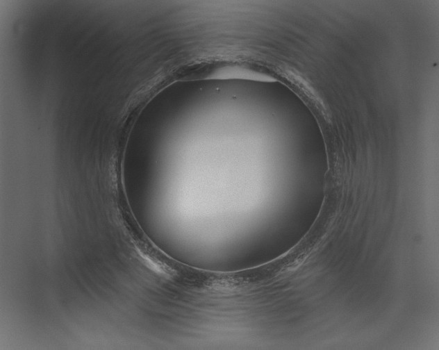 X0000073890489200608251435