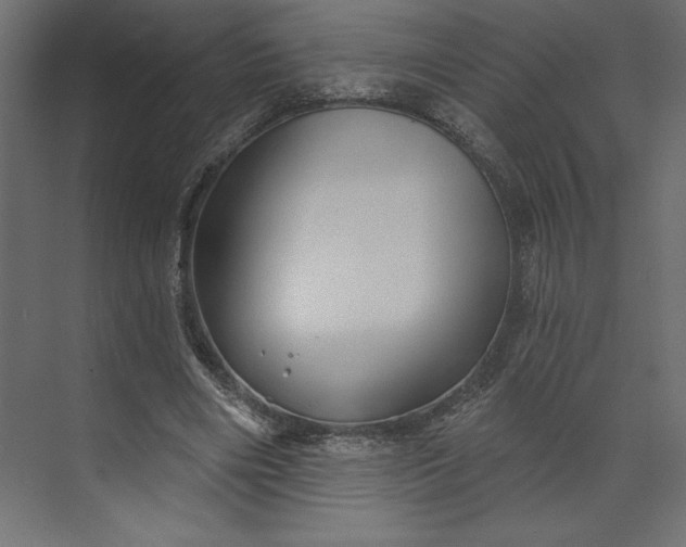 X0000073890490200608251435