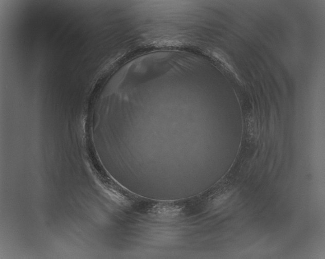 X0000073890491200608251435