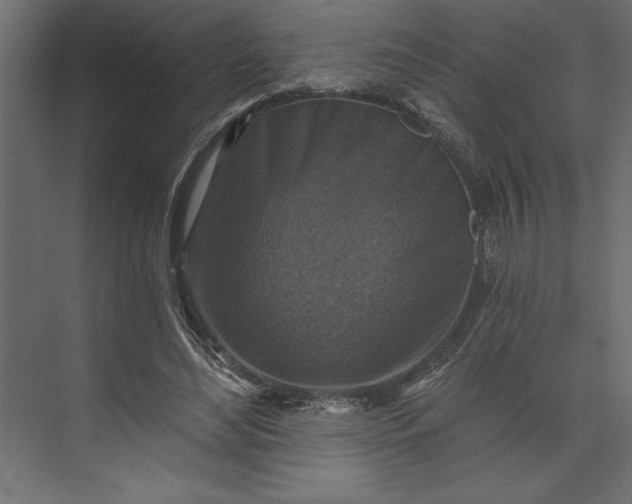 X0000073890492200608251435