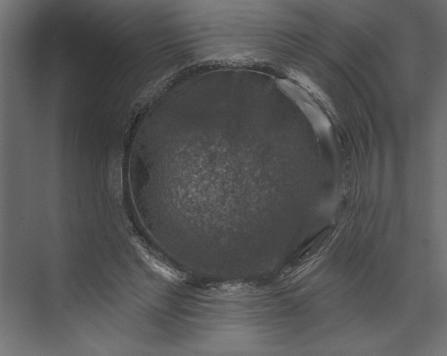 X0000073890493200608251435