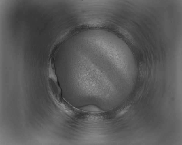 X0000073890494200608251435