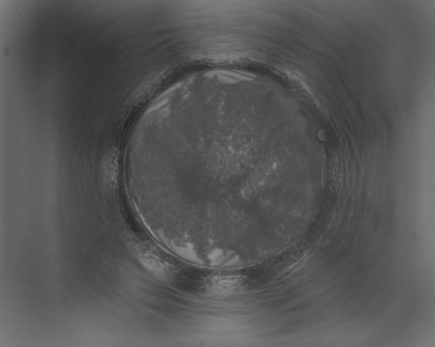 X0000073890495200608251435