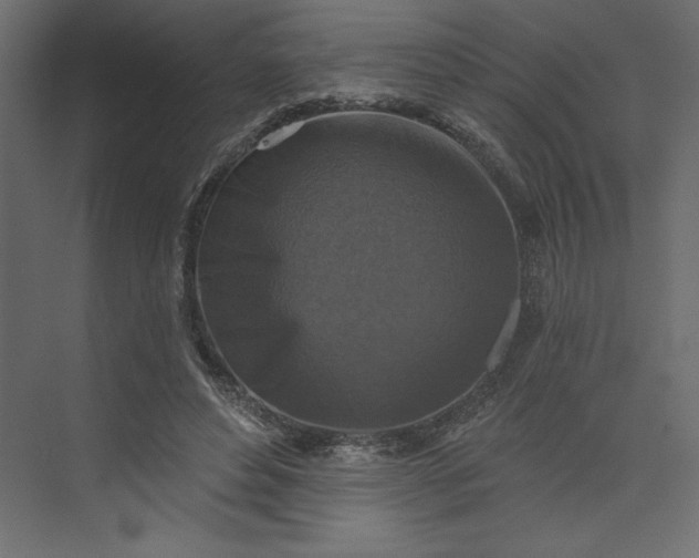 X0000073890496200608251435