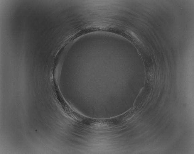 X0000073890500200608251435