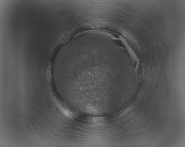 X0000073890501200608251435