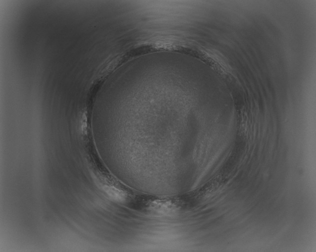 X0000073890502200608251435