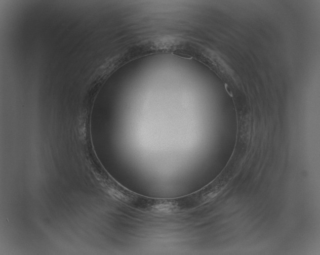 X0000073890505200608251435