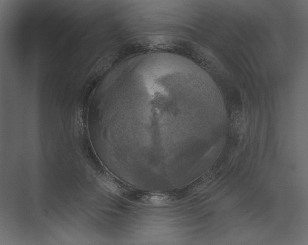 X0000073890506200608251435