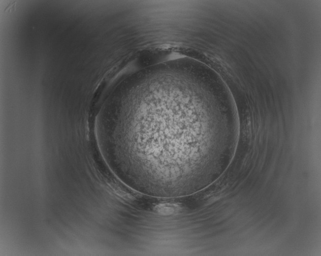 X0000073890508200608251435