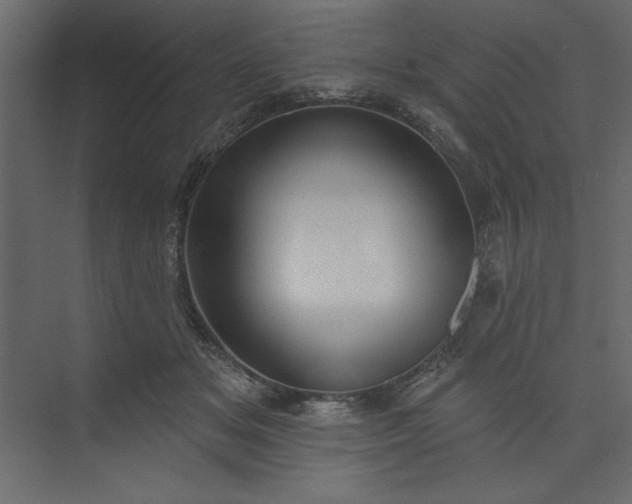 X0000073890509200608251435