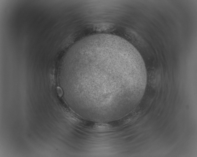 X0000073890510200608251435