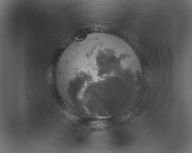 X0000073890511200608251435