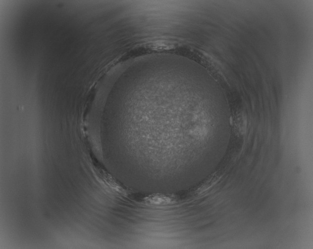 X0000073890512200608251435