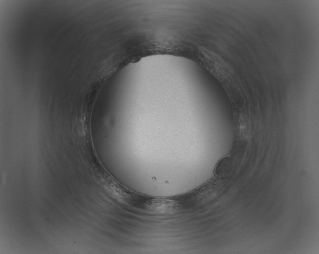 X0000073890514200608251435