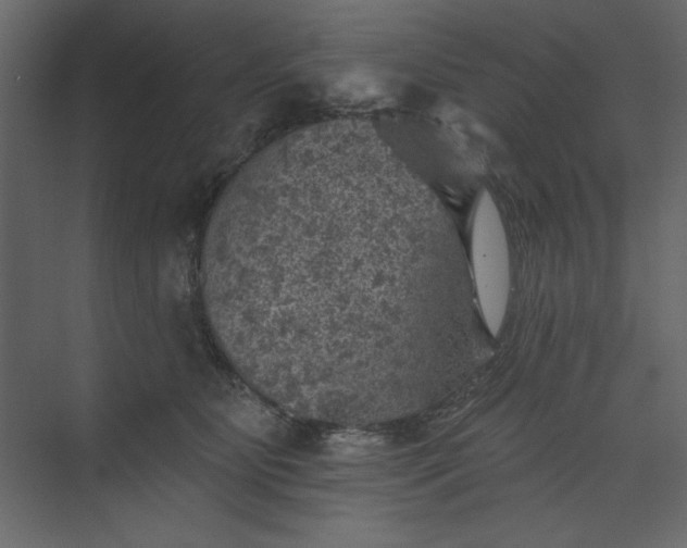 X0000073890515200608251435