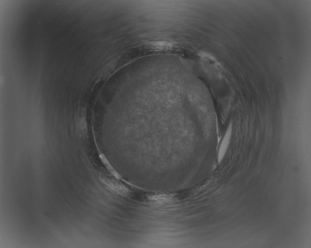 X0000073890516200608251435