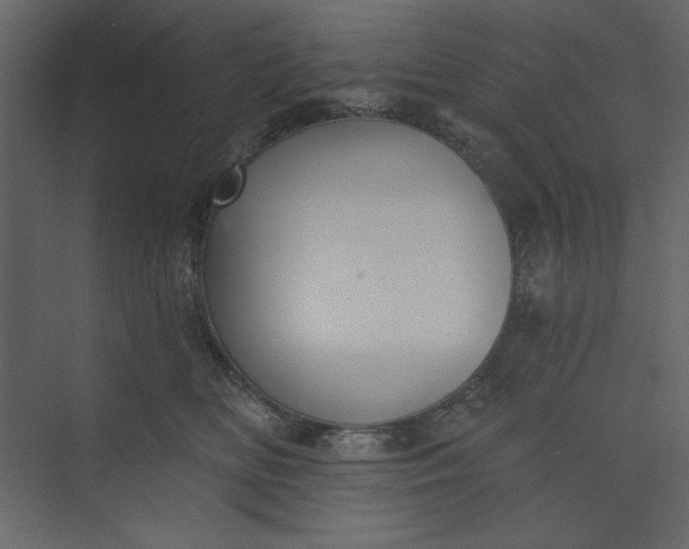 X0000073890518200608251435