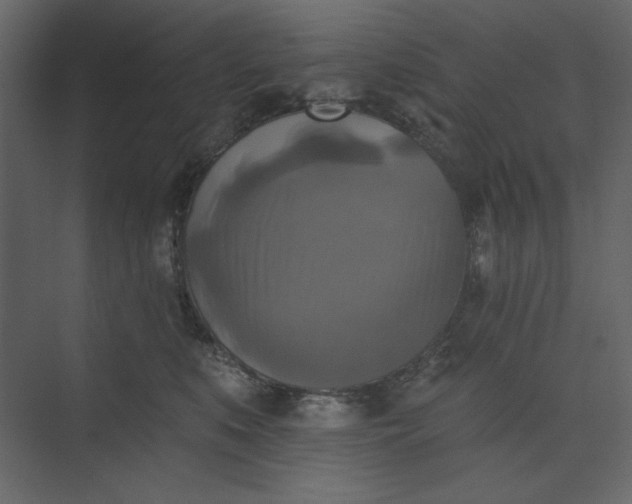 X0000073890519200608251435