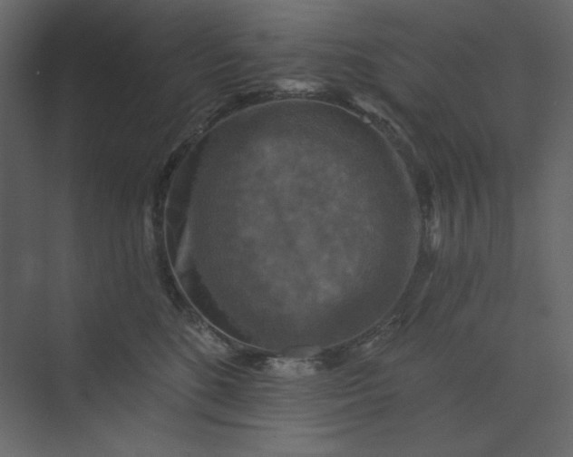 X0000073890520200608251435