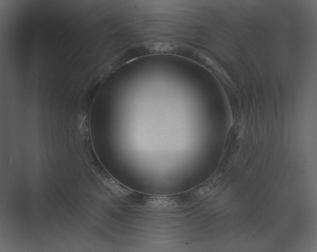 X0000073890521200608251434