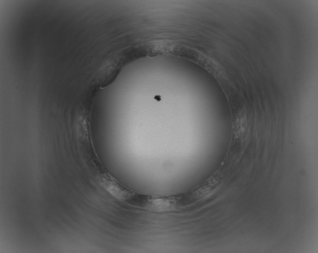 X0000073890522200608251434