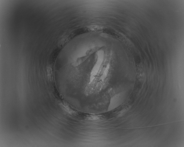 X0000073890523200608251434