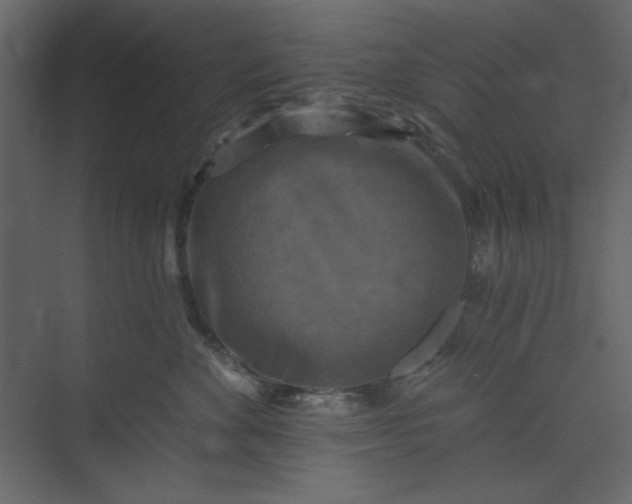 X0000073890524200608251434