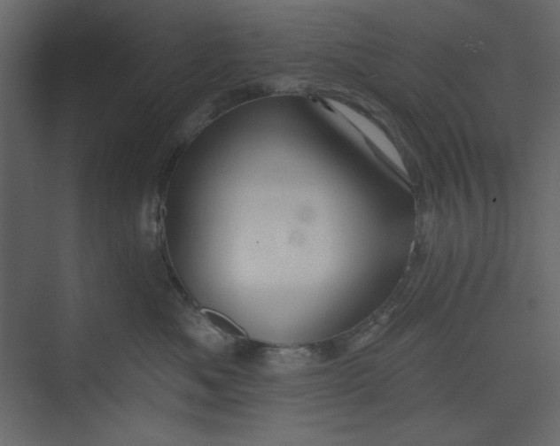 X0000073890525200608251434