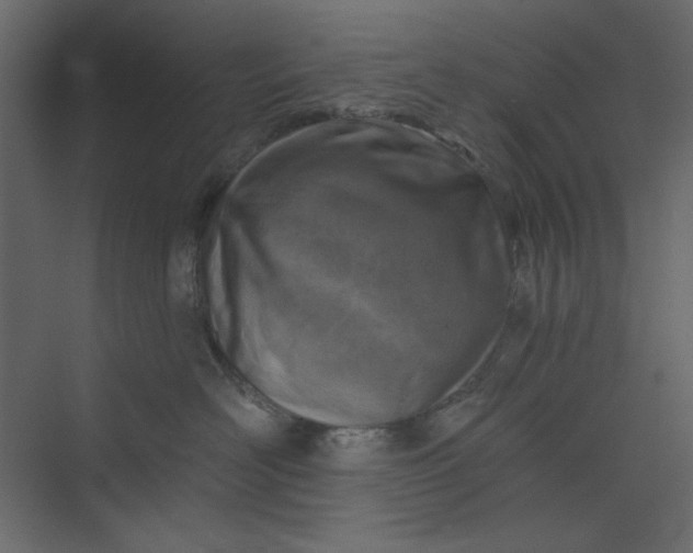 X0000073890526200608251434