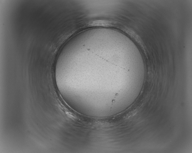 X0000073890529200608251434