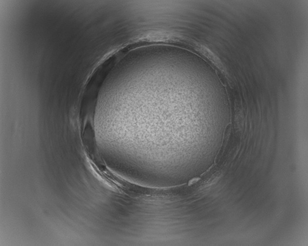 X0000073890530200608251434