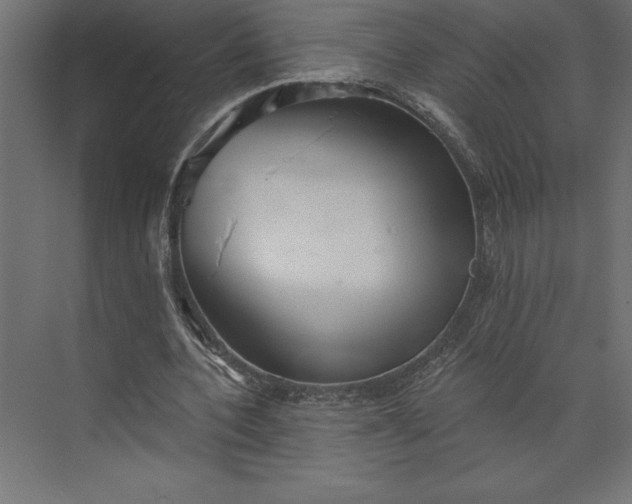 X0000073890532200608251434