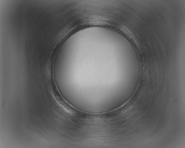 X0000073890533200608251434