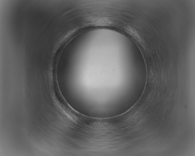 X0000073890535200608251434