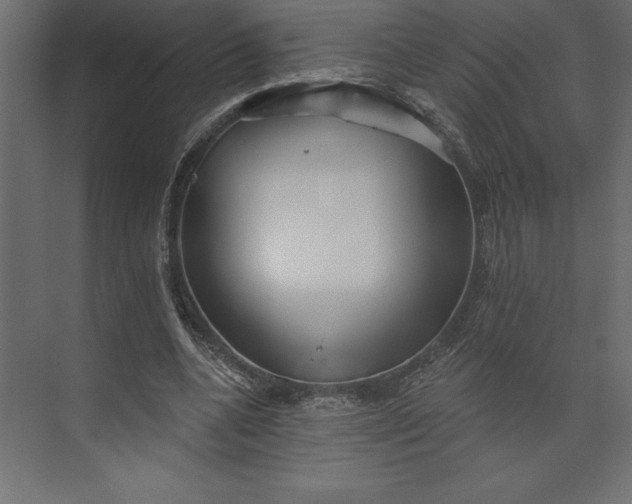 X0000073890536200608251434