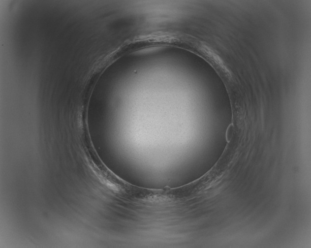 X0000073890537200608251434